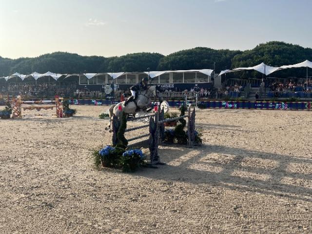 Vente de cheval et vice caché : l’incompatibilité cheval-cavalier ne suffit pas 